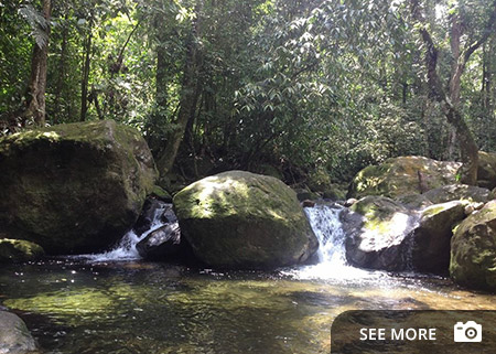 See photos of Maresias Beach